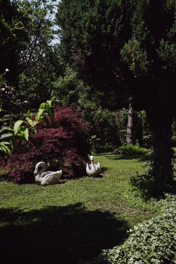 House For Rest Juliet Daire Velika Gorica Dış mekan fotoğraf