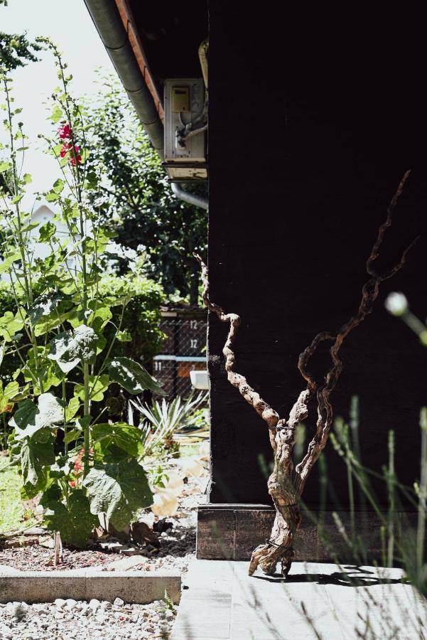 House For Rest Juliet Daire Velika Gorica Dış mekan fotoğraf
